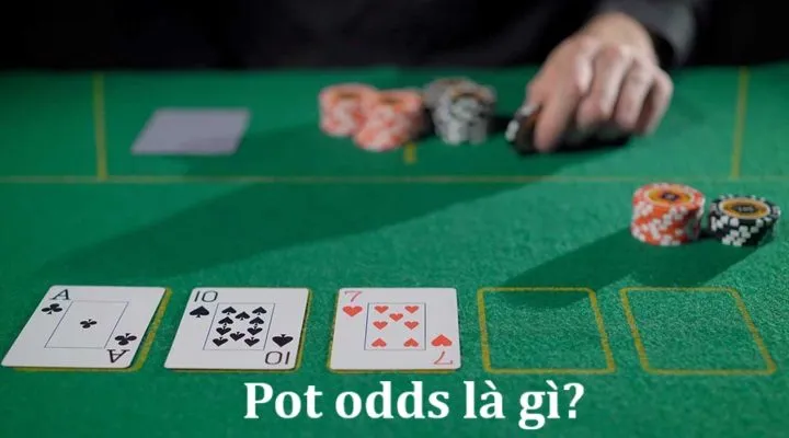 Pot odds là gì? Tính toán tỷ lệ pot (Pot Odds) trong Poker